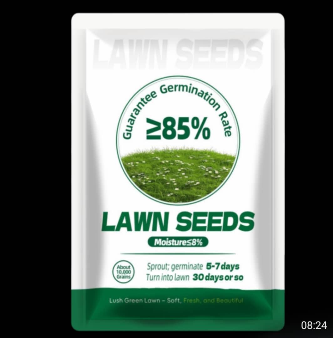 Evergreen Lawn Dwarf Grass Seeds™