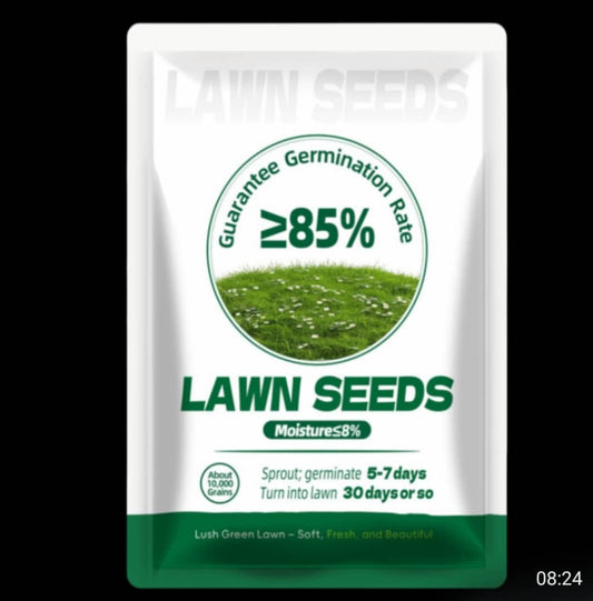 Evergreen Lawn Dwarf Grass Seeds™