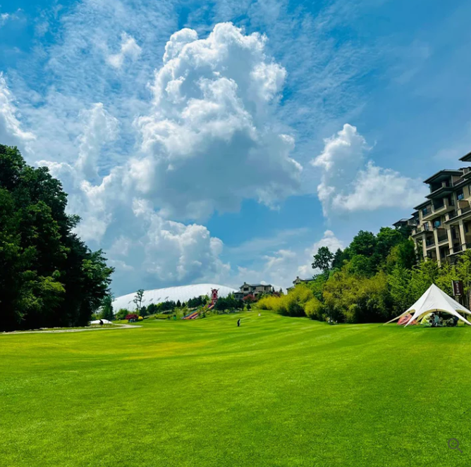 Evergreen Lawn Dwarf Grass Seeds™