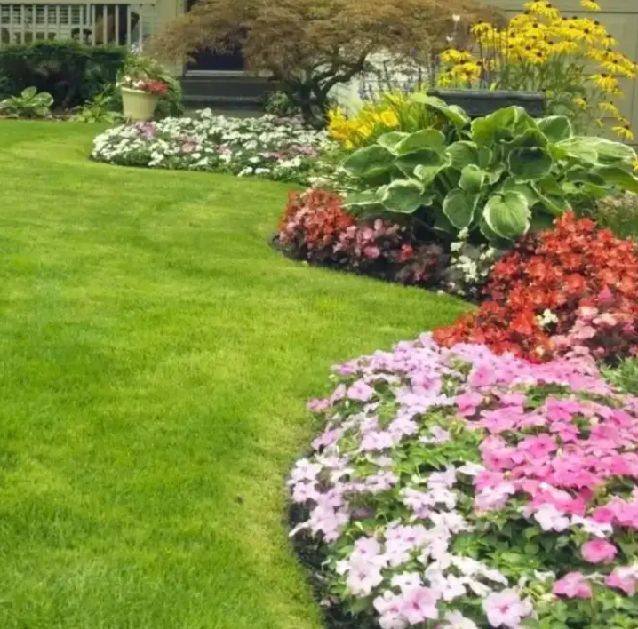 Evergreen Lawn Dwarf Grass Seeds™