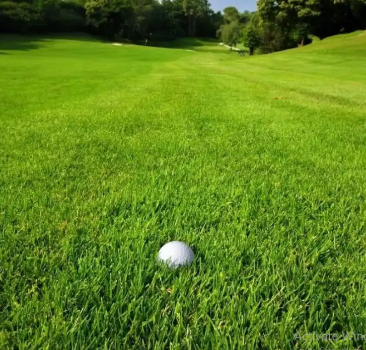 Evergreen Lawn Dwarf Grass Seeds™